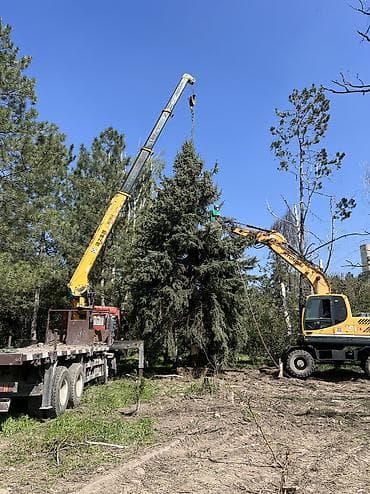 4 gb: Стрела 15 м, 10 т, Борт 20 кг — 4