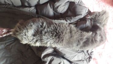 реалии: Зимняя .состояние.нового,отличного качества за 1000с.на фото не очень — 1