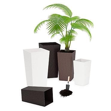 кашпо из ротанга: Декор для дома и сада — 2