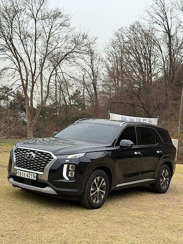 Hyundai Palisade: 2020 г., 2.2 л, Автомат, Дизель, Кроссовер — 2