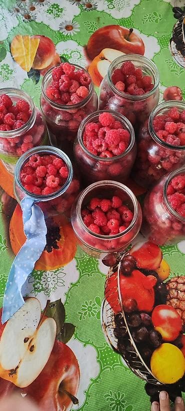 пустые мешки: Малина В розницу — 1