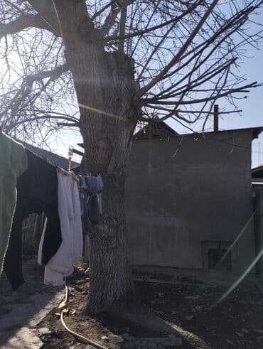 кант дрова: Дрова Орех, Самовывоз — 3