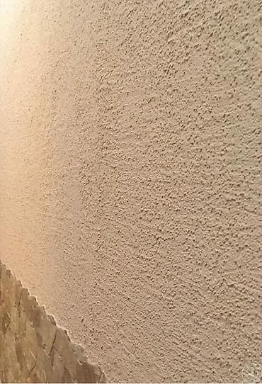 кактусы купить: Штукатурка стен штукатурка кылабыз — 1