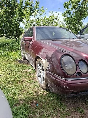Транспорт: Mercedes-Benz E-Class: 1996 г., 3.2 л, Автомат, Бензин, Седан — 2