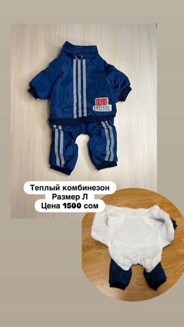 все породы собак с фотографиями: Одежда для кошек и собак. Все НОВОЕ РАЗМЕР И ЦЕНА УКАЗАНЫ НА ФОТО — 22