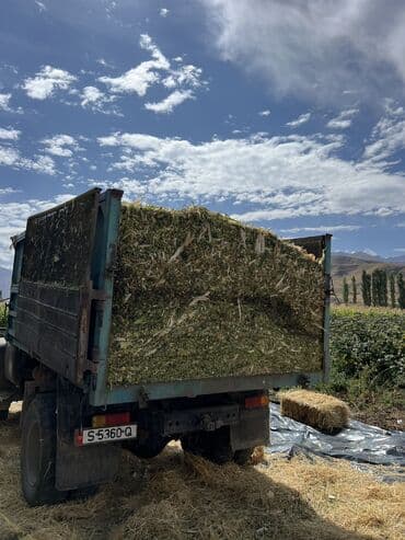 А/ч жаныбарлары үчүн тоюттар: Продаю Силос из кукурузы 4 тонны 
Корм для коровы для откорма бычков — 4
