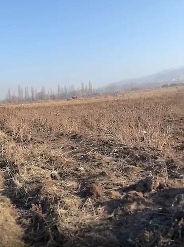 участок дом первая линия: 1 соток, Для строительства — 2