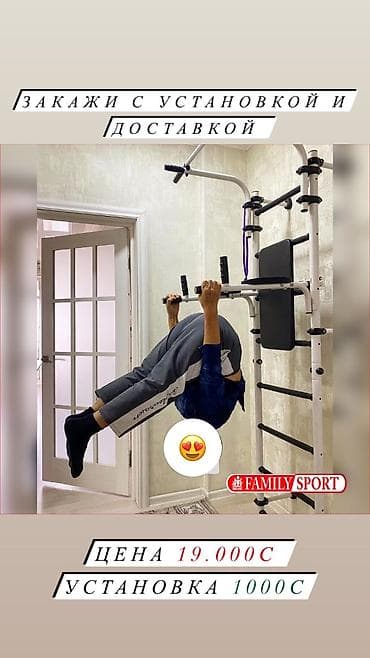 Family sport Закажи с установкой и доставкой Шведскую стенку