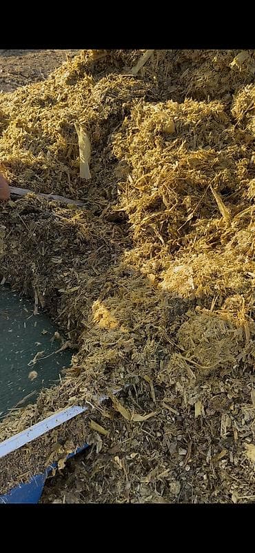 уй сатылат бишкек 2022: Кукурузный силос в индивидуальных рулонах Адрес Город Кемин село Жол — 10