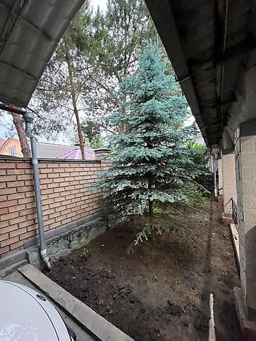 загородный дом: Продаётся частный дом с благоустроенным двором и множеством — 6