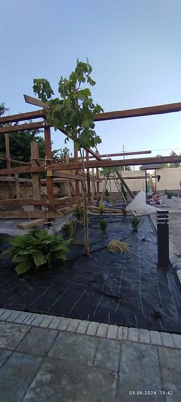 headhunter kg: Профессиональное озеленение и устройство декоративных садов Что — 5