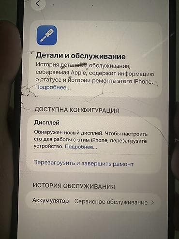 13 mini: IPhone 12 Pro Max, Б/у, 256 ГБ, Pacific Blue, 53 % — 5