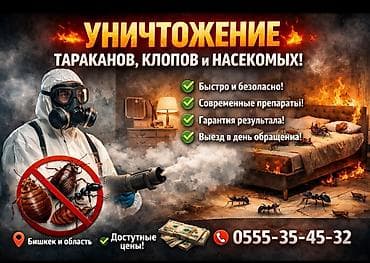 Стирка ковров: Дезинфекция, дезинсекция, | Тараканы, | Квартиры — 1