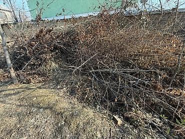 Декор и интерьер: Дрова — 2