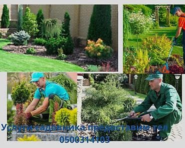 полный покраска: Предлагаются услуги по уходу за садом и ландшафтному дизайну. Включают — 1