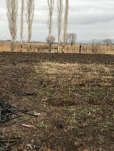 Жер тилкелери: Земельный участок сельскохозяйственного назначения - Ровная открытая — 3