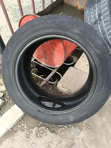 255 55 р19: Шины 255 / 50 / R 19, Лето, Б/у, 1 шт, Внедорожные (АТ/МТ), Япония, Pirelli — 3