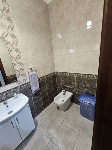 Үйдү ижарага алам: Үй, 250 м², 2 бөлмө, Менчик ээси, Евро оңдоо — 11