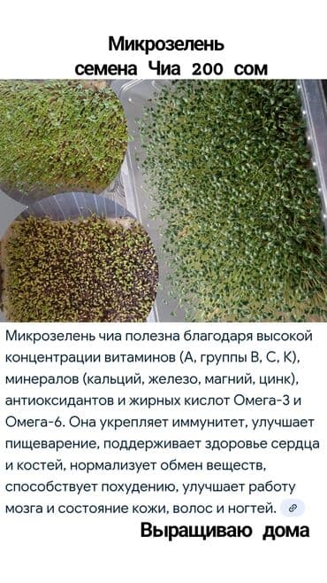 форель корм: Зелень и микрозелень, Микрозелень, В розницу, Самовывоз, Платная доставка — 1