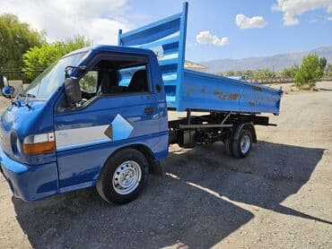 Легкий грузовик, Hyundai