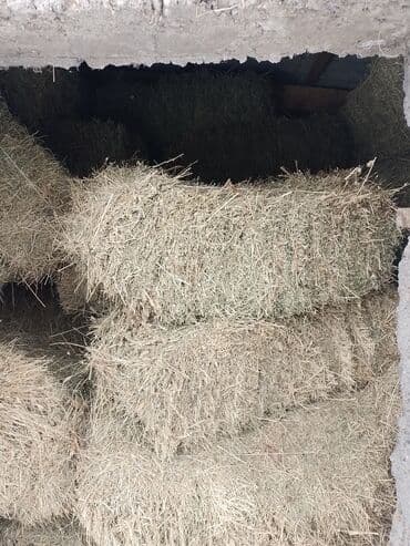 шнек для зерна: Чоп сатам Ысык Ата району Туз айылы ушул номирге чалыныздар — 3