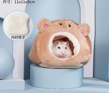 Башка жаныбарлар: ПРОДАЮ ДЖУНГАРСКИХ И СИРИЙСКИХ ХОМЯЧКОВ,А ТАК ЖЕ — 3