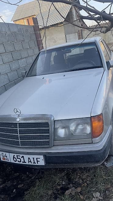 step 2: Mercedes-Benz W124: 1992 г., 2.3 л, Механика, Бензин, Седан — 2