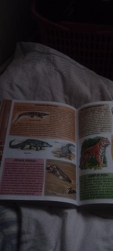 Балдарга арналган китептер: Книга: «Современная энциклопедия для девочек и мальчиков. 500 вопросов — 2