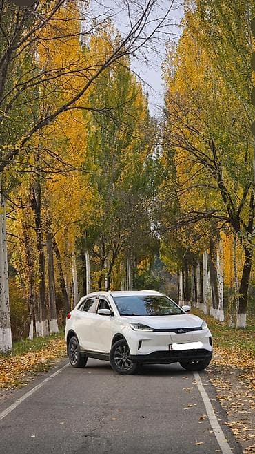 down pipe: JAC : 2020 г., Электромобиль, Кроссовер — 2