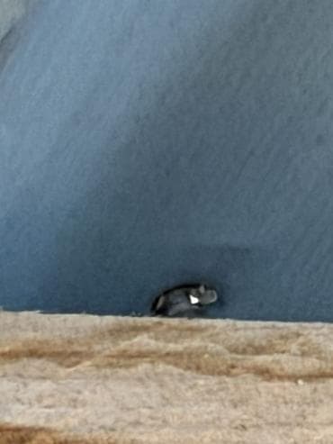 ремонт кровли бишкек: Кровля крыши | Ремонт Больше 6 лет опыта — 3