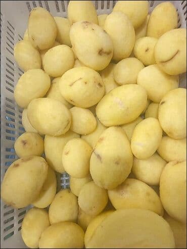 аппарат для напиток: Срочно жарым баасына сатылат. гаМашина для чистки картофелья. новый — 3