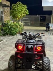 Квадроцикл Бензин, 200 куб. см, Взрослый