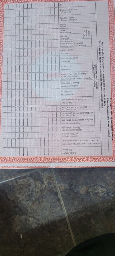 талас контейнер: 5 соток, Курулуш, Кызыл китеп — 7