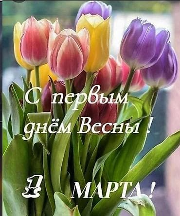 тюльпаны букет: Букет тюльпанов к 1 марта — нежные весенние цветы в разноцветной — 1