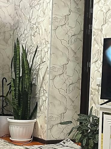 красивые горшки для цветов: Цветы тещина языка гераньфикусы,калатента, женская — 3
