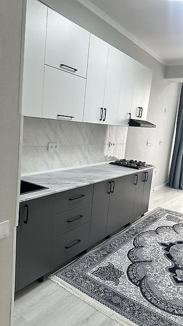 бишкек киргизия 1: 1 комната, 50 м², 3 этаж, Евроремонт — 5