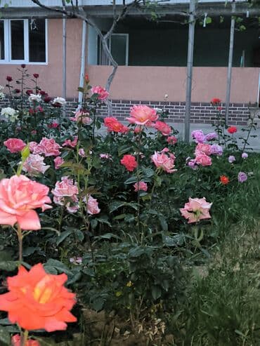 дом район ак орго: Үй, 1441 м², 8 бөлмө — 35