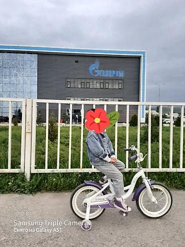 step 2: Детский велосипед, 2-колесный, 4 - 6 лет, Для девочки, Б/у — 1
