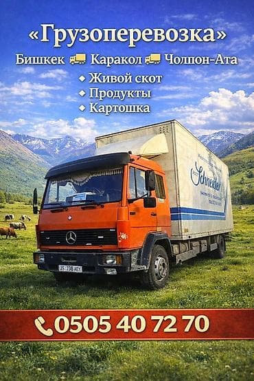 Грузоперевозки по маршрутам: Бишкек — Каракол — Чолпон-Ата. Что