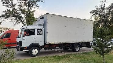 рихтовка спринтер: Грузовик, Mercedes-Benz, Дубль, 6 т, Б/у — 1
