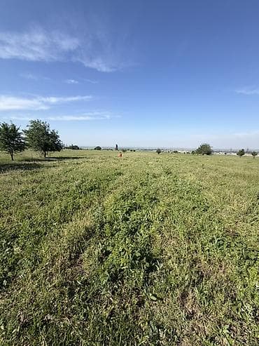 1 соток, Для бизнеса