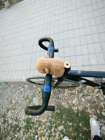 фикс рама: Шаардык велосипед, Велосипед алкагы S (145 - 165 см), Колдонулган — 5