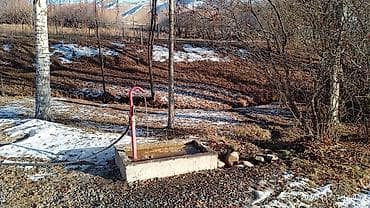 бизнес каракол: Сатам Мүйүздүү бодо мал фермасы, 25 соток, Иштеп жаткан, Жабдуулары менен, Электр энергиясы — 10