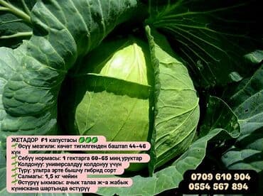 продам мясо: Семена овощей: Помидоры, Огурцы, Лук, Самовывоз, Бесплатная доставка, Платная доставка — 7