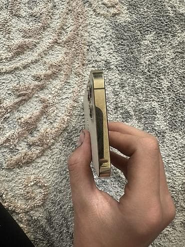 11 iphone pro max: IPhone 12 Pro Max, Серебристый — 5