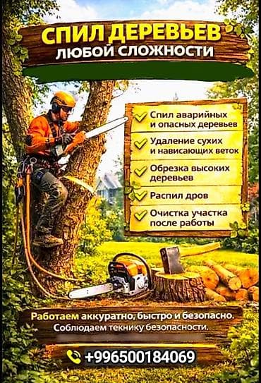 ош базар продавец: Цена договорная от1500 — 1