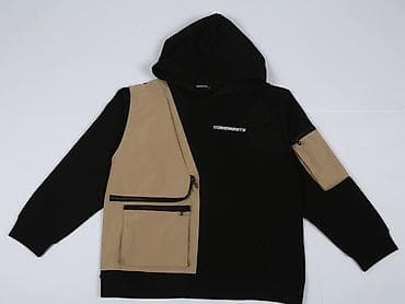 Мужская одежда: Мужские худи и толстовки с капюшоном Варианты: - Классические худи на — 4