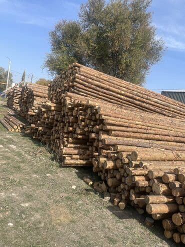 Кругляк сасновое России