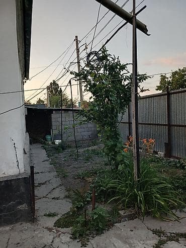 Дома: Продается частный дом с большим участком. - Планировка: одноэтажный — 1