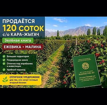 продаю токмок: 120 соток, Для бизнеса, Договор купли-продажи — 1